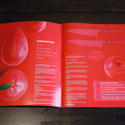 Ecommerce Cookbook (Vol 1) [Mini-Guide]