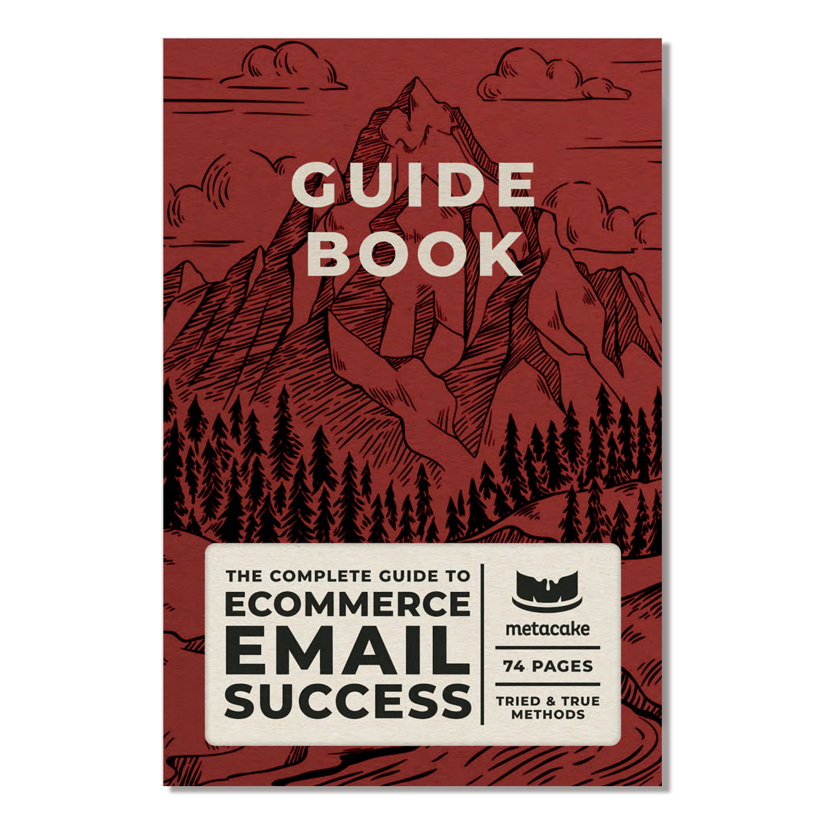 The Ultimate Guide to Ecommerce Email Success (Ebook)